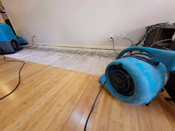 Professional Emergency Water Damage technician working in Aroda, VA